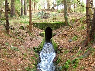 Photo des Monats Februar 2007