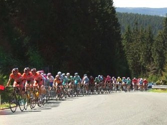 Photo des Monats April 2007