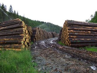 Photo des Monats Juni 2007