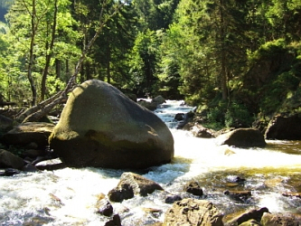 Photo des Monats Juli 2007