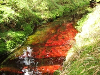 Photo des Monats August 2007