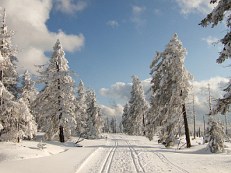 Photo des Monats M�rz 2008