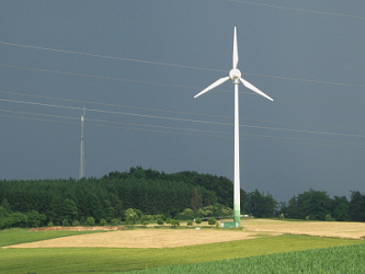 Photo des Monats Juni 2008