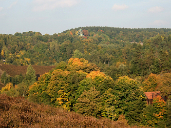 Photo des Monats September 2008