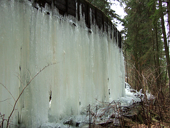 Photo des Monats Januar 2009