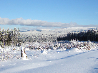 Photo des Monats Februar 2009