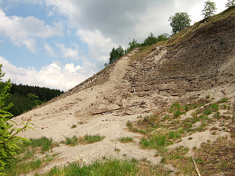 Photo des Monats Juni 2009