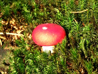 Photo des Monats Oktober 2009