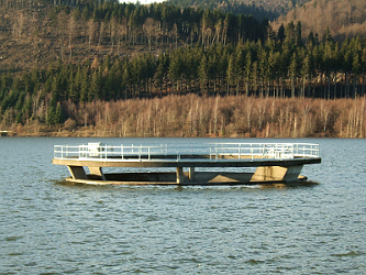 Photo des Monats Januar 2011