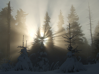 Photo des Monats Februar 2011