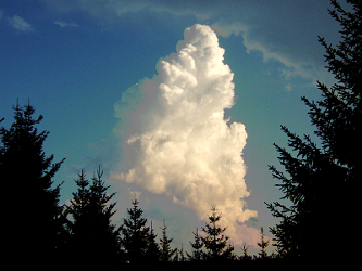 Photo des Monats August 2011