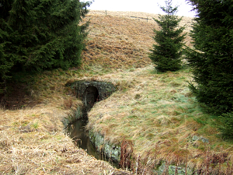 Photo des Monats Dezember 2011