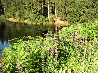 Photo des Monats September 2012