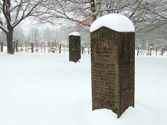 Photo des Monats Februar 2013