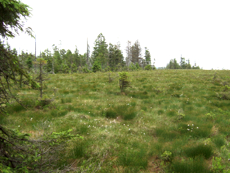 Photo des Monats Juni 2013