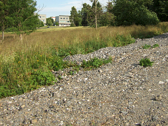 Photo des Monats Juli 2013