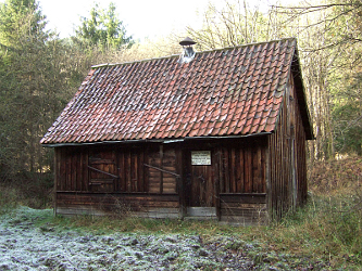 Photo des Monats November 2013