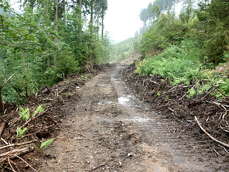 Photo des Monats August 2014