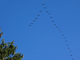 Photo des Monats November 2014