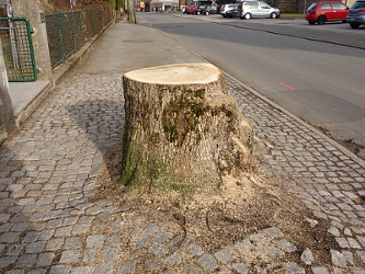 Photo des Monats März 2015