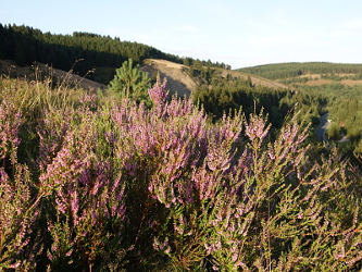 Photo des Monats Juli 2015