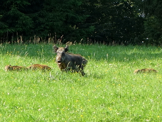 Photo des Monats August 2015