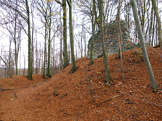 Photo des Monats November 2015