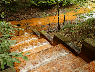 Photo des Monats August 2025